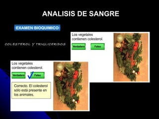 ANALISIS DE SANGRE EXAMEN BIOQUIMICO COLESTEROL Y TRIGLICERIDOS 