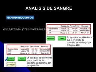 ANALISIS DE SANGRE EXAMEN BIOQUIMICO COLESTEROL Y TRIGLICERIDOS 