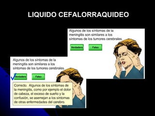 LIQUIDO CEFALORRAQUIDEO 