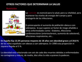 Nutrición En España hay 13.3% personas mayores de 18 años con obesidad grave y el 24.8 %  de los niños españoles son obesos o con sobrepeso. En 1990 esta proporción ni siquiera llegaba al 5 %.  La obesidad está relacionada con seis de cada diez muertes debidas a enfermedades no contagiosas y reduce, de media, diez años la vida a quienes la padecen. La  nutrición  es esencial para la salud, para su vitalidad, para mantener los niveles de energía del cuerpo y para protegerlo de las infecciones.  OTROS FACTORES QUE DETERMINAN LA SALUD Es preocupante el aumento de población obesa o con sobrepeso,  lo que supone un factor de riesgo añadido a otras enfermedades como:  Diabetes, Afecciones cardiovasculares (arteriosclerosis, aumento de colesterol), afecciones respiratorias, etc… 