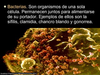 Bacterias.  Son organismos de una sola célula. Permanecen juntos para alimentarse  de su portador. Ejemplos de ellos son la sífilis, clamidia, chancro blando y gonorrea. 
