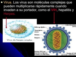 Virus.  Los virus son moléculas complejas que pueden multiplicarse rápidamente cuando invaden a su portador, como el  VIH , hepatitis y  Herpes. 