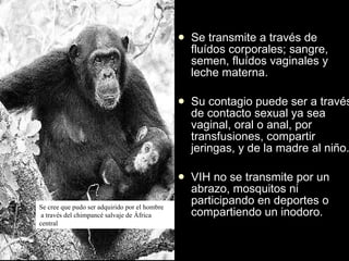 Se transmite a través de fluídos corporales; sangre, semen, fluídos vaginales y leche materna. Su contagio puede ser a través de contacto sexual ya sea vaginal, oral o anal, por transfusiones, compartir jeringas, y de la madre al niño. VIH no se transmite por un abrazo, mosquitos ni participando en deportes o compartiendo un inodoro. Se cree que pudo ser adquirido por el hombre a través del chimpancé salvaje de África central 