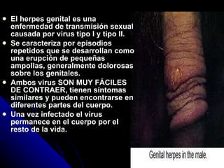 El herpes genital es una enfermedad de transmisión sexual causada por virus tipo I y tipo II. Se caracteriza por episodios repetidos que se desarrollan como una erupción de pequeñas ampollas, generalmente dolorosas sobre los genitales. Ambos virus SON MUY FÁCILES DE CONTRAER, tienen síntomas similares y pueden encontrarse en diferentes partes del cuerpo. Una vez infectado el virus permanece en el cuerpo por el resto de la vida. 