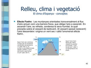 42
Relleu, clima i vegetació
El clima d'Espanya - conceptes
 Efecte Foehn: Les muntanyes orientades transversalment al fl...