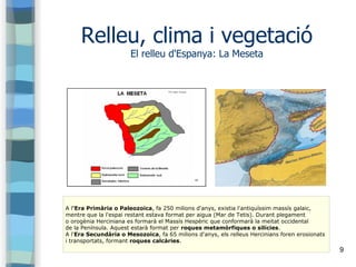 9
Relleu, clima i vegetació
El relleu d'Espanya: La Meseta
A l'Era Primària o Paleozoica, fa 250 milions d'anys, existia l...