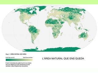 L’ÀREA NATURAL QUE ENS QUEDA 