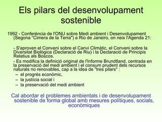 Els pilars del desenvolupament sostenible 1992 - Conferència de l'ONU sobre Medi ambient i Desenvolupament (Segona “Cimera de la Terra") a Rio de Janeiro, on neix l'Agenda 21: - S'aproven el Conveni sobre el Canvi Climàtic, el Conveni sobre la Diversitat Biològica (Declaració de Riu) i la Declaració de Principis Relatius als Boscos.  - Es modifica la definició original de l'Informe Brundtland, centrada en la preservació del medi ambient i el consum prudent dels recursos naturals no renovables, cap a la idea de "tres pilars" : el progrés econòmic,  la justícia social i  la preservació del medi ambient Cal abordar el problemes ambientals i de desenvolupament sostenible de forma global amb mesures polítiques, socials, econòmiques 