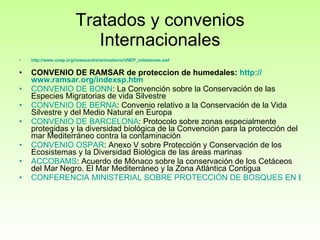 Tratados y convenios Internacionales http://www.unep.org/newscentre/animations/UNEP_milestones.swf CONVENIO DE RAMSAR de proteccion de humedales:  http :// www.ramsar.org / indexsp.htm CONVENIO DE BONN : La Convención sobre la Conservación de las Especies Migratorias de vida Silvestre  CONVENIO DE BERNA : Convenio relativo a la Conservación de la Vida Silvestre y del Medio Natural en Europa  CONVENIO DE BARCELONA : Protocolo sobre zonas especialmente protegidas y la diversidad biológica de la Convención para la protección del mar Mediterráneo contra la contaminación  CONVENIO OSPAR : Anexo V sobre Protección y Conservación de los Ecosistemas y la Diversidad Biológica de las áreas marinas  ACCOBAMS : Acuerdo de Mónaco sobre la conservación de los Cetáceos del Mar Negro. El Mar Mediterráneo y la Zona Atlántica Contigua  CONFERENCIA MINISTERIAL SOBRE PROTECCIÓN DE BOSQUES EN EUROPA   