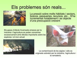 Els problemes són reals... La pressió sobre molts hàbitats i sectors, boscos, pesqueries, recursos, etc... S’ha incrementat notablement i es objecte d’una preocupació creixent La contaminació de les aigües i sòls es originada sobretot per la indústria, l’agricultura i la ramaderia. Els gasos d’efecte hivernacle emesos per la industria i l’agricultura es poden concentrar excessivament amb efectes importants sobre las espècies i el mon actual 