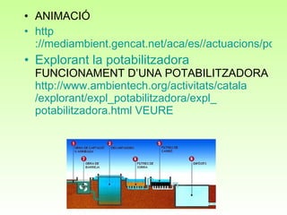 ANIMACIÓ http ://mediambient.gencat.net/aca/es//actuacions/potabilitzadores/estacions.jsp Explorant la potabilitzadora  FUNCIONAMENT D’UNA POTABILITZADORA  http :// www . ambientech . org /activitats/ catala /explorant/ expl _potabilitzadora/ expl _ potabilitzadora . html   VEURE  