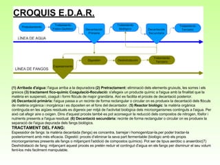 (1) Arribada d'aigua:  l'aigua arriba a la depuradora  (2) Pretractament:  eliminació dels elements gruixuts, les sorres i els greixos  (3) tractament fíco-químic Coagulació-floculació:  s'afegeix un producte químic a l'aigua amb la finalitat que la matèria en suspensió, coaguli i formi flòculs de major grandària. Així es facilita el procés de decantació posterior.  (4) Decantació primària:  l'aigua passa a un recinte de forma rectangular o circular on es produeix la decantació dels flòculs de matèria orgànica i inorgànica i es dipositen en el fons del decantador. ( 5) Reactor biològic : la matèria orgànica continguda en les aigües residuals es digereix per mitjà de l'activitat biològica dels microorganismes continguts a l'aigua. Per això cal afegir aire o oxigen. Dins d'aquest procés també es pot aconseguir la reducció dels compostos de nitrogen, fòsfor i nutrients presents a l'aigua residual.  (6) Decantació secundària:  recinte de forma rectangular o circular on es produeix la separació de l'aigua depurada dels fangs biològics.  TRACTAMENT DEL FANG: Espessidor de fangs: la matèria decantada (fangs) es concentra, barrejar i homogenitzar-la,per poder tractar-la posteriorment amb més eficacia. Digestió: procés d’eliminar la seva part fermentable (biològic amb els propis microorganismes presents als fangs o mitjançant l'addició de compostos químics). Pot ser de tipus aeròbic o anaeròbic(7) Deshidratació de fang: mitjançant aquest procés es pretén reduir el contingut d'aigua en els fangs per disminuir el seu volum fent-los més facilment manipulable.  