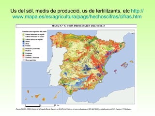 Us del sòl, medis de producció, us de fertilitzants, etc  http :// www.mapa.es /es/agricultura/ pags / hechoscifras / cifras.htm 