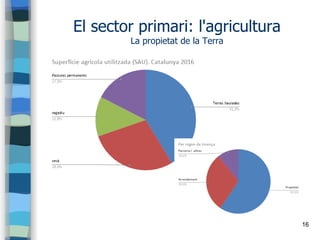 16
El sector primari: l'agricultura
La propietat de la Terra
 