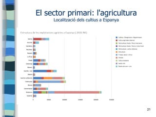 21
El sector primari: l'agricultura
Localització dels cultius a Espanya
 