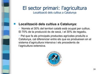 24
El sector primari: l'agricultura
Localització dels cultius a Catalunya
 Localització dels cultius a Catalunya:
✔ Només...