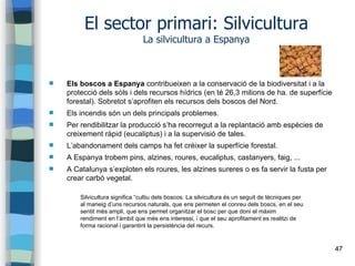 47
El sector primari: Silvicultura
La silvicultura a Espanya
 Els boscos a Espanya contribueixen a la conservació de la b...