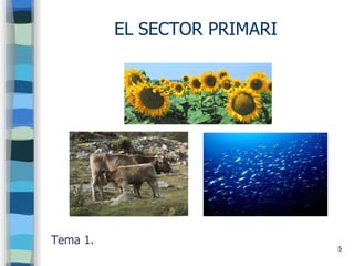 5
EL SECTOR PRIMARI
Tema 1.
 