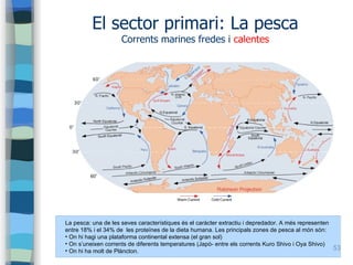 53
El sector primari: La pesca
Corrents marines fredes i calentes
La pesca: una de les seves característiques és el caràct...