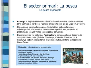 56
El sector primari: La pesca
La pesca espanyola
 Espanya A Espanya la distribució de la flota és variada, destacant que...