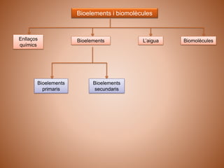 Bioelements i biomolècules
Enllaços
químics
Biomolècules
Bioelements
primaris
Bioelements
secundaris
Bioelements L’aigua
 