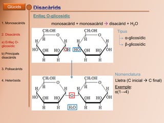 Enllaç O-glicosídic
monosacàrid + monosacàrid  disacàrid + H2O
Glúcids
1. Monosacàrids
2. Disacàrids
a) Enllaç O-
glicosí...