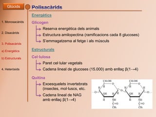 1. Monosacàrids
2. Disacàrids
3. Polisacàrids
a) Energètics
b) Estructurals
4. Heteròsids
Glúcids
Energètics
Glicogen
Rese...