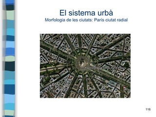 116
El sistema urbà
Morfologia de les ciutats: París ciutat radial
 