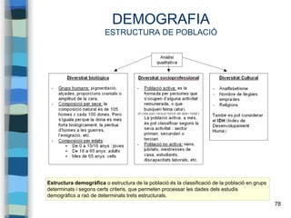 78
DEMOGRAFIA
ESTRUCTURA DE POBLACIÓ
Estructura demogràfica o estructura de la població és la classificació de la població en grups
determinats i segons certs criteris, que permeten processar les dades dels estudis
demogràfics a raó de determinats trets estructurals.
 