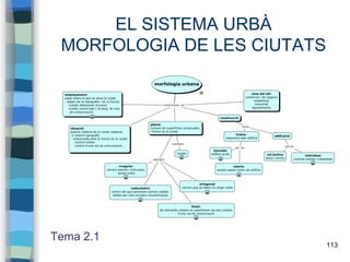 113
EL SISTEMA URBÀ
MORFOLOGIA DE LES CIUTATS
Tema 2.1
 