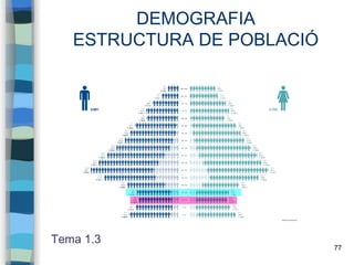 77
DEMOGRAFIA
ESTRUCTURA DE POBLACIÓ
Tema 1.3
 