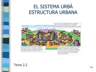 113
EL SISTEMA URBÀ
ESTRUCTURA URBANA
Tema 2.2
 