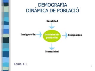 7
DEMOGRAFIA
DINÀMICA DE POBLACIÓ
Tema 1.1
 