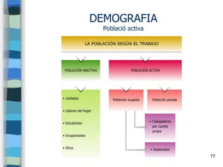 77
DEMOGRAFIA
Població activa
 