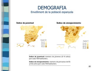 80
DEMOGRAFIA
Envelliment de la població espanyola
 