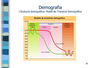 66
Demografia
L'Evolució demogràfica: Model de Transició Demogràfica
 