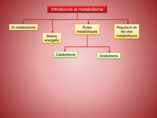Introducció al metabolisme
El metabolisme
Balanç
energètic
Rutes
metabòliques
Catabolisme Anabolisme
Regulació de
les vies
metabòliques
 
