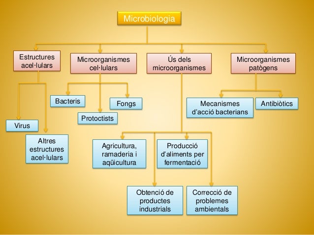 Biologia PAU. Microbiologia. CAT
