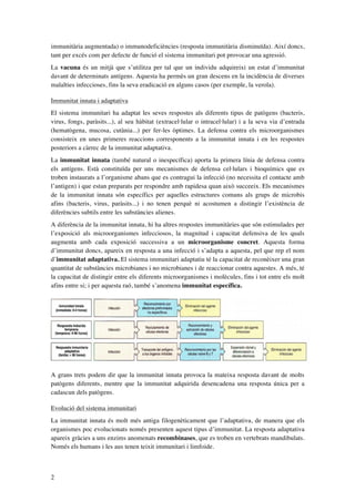 immunitària augmentada) o immunodeficiències (resposta immunitària disminuïda). Així doncs,
tant per excés com per defecte de funció el sistema immunitari pot provocar una agressió.
La vacuna és un mitjà que s’utilitza per tal que un individu adquireixi un estat d’immunitat
davant de determinats antígens. Aquesta ha permès un gran descens en la incidència de diverses
malalties infeccioses, fins la seva eradicació en alguns casos (per exemple, la verola).
Immunitat innata i adaptativa
El sistema immunitari ha adaptat les seves respostes als diferents tipus de patògens (bacteris,
virus, fongs, paràsits...), al seu hàbitat (extracel·lular o intracel·lular) i a la seva via d’entrada
(hematògena, mucosa, cutània...) per fer-les òptimes. La defensa contra els microorganismes
consisteix en unes primeres reaccions corresponents a la immunitat innata i en les respostes
posteriors a càrrec de la immunitat adaptativa.
La immunitat innata (també natural o inespecífica) aporta la primera línia de defensa contra
els antígens. Està constituïda per uns mecanismes de defensa cel·lulars i bioquímics que es
troben instaurats a l’organisme abans que es contragui la infecció (no necessita el contacte amb
l’antigen) i que estan preparats per respondre amb rapidesa quan això succeeix. Els mecanismes
de la immunitat innata són específics per aquelles estructures comuns als grups de microbis
afins (bacteris, virus, paràsits...) i no tenen perquè ni acostumen a distingir l’existència de
diferències subtils entre les substàncies alienes.
A diferència de la immunitat innata, hi ha altres respostes immunitàries que són estimulades per
l’exposició als microorganismes infecciosos, la magnitud i capacitat defensiva de les quals
augmenta amb cada exposició successiva a un microorganisme concret. Aquesta forma
d’immunitat doncs, apareix en resposta a una infecció i s’adapta a aquesta, pel que rep el nom
d’immunitat adaptativa. El sistema immunitari adaptatiu té la capacitat de reconèixer una gran
quantitat de substàncies microbianes i no microbianes i de reaccionar contra aquestes. A més, té
la capacitat de distingir entre els diferents microorganismes i molècules, fins i tot entre els molt
afins entre si; i per aquesta raó, també s’anomena immunitat específica.

A grans trets podem dir que la immunitat innata provoca la mateixa resposta davant de molts
patògens diferents, mentre que la immunitat adquirida desencadena una resposta única per a
cadascun dels patògens.
Evolució del sistema immunitari
La immunitat innata és molt més antiga filogenèticament que l’adaptativa, de manera que els
organismes poc evolucionats només presenten aquest tipus d’immunitat. La resposta adaptativa
apareix gràcies a uns enzims anomenats recombinases, que es troben en vertebrats mandibulats.
Només els humans i les aus tenen teixit immunitari i limfoide.

2

 