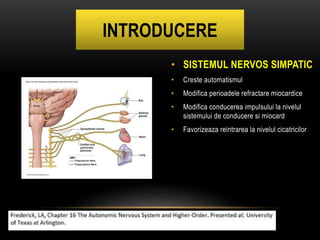 Stelate Ganglion Percutaneous Block | PPTX