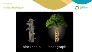 Hedera Hashgraph
 