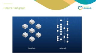 Hedera Hashgraph
 