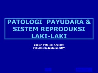 PAFKUGM
1
PATOLOGI PAYUDARA &
SISTEM REPRODUKSI
LAKI-LAKI
Bagian Patologi Anatomi
Fakultas Kedokteran UMY
 