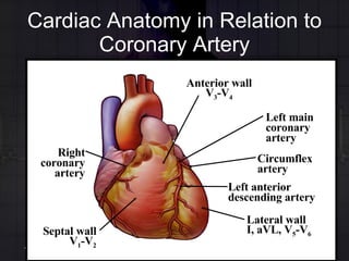 Cardiac Anatomy in Relation to Coronary Artery Right coronary artery Septal wall V 1 -V 2 Left anterior descending artery Anterior wall V 3 -V 4 Left main coronary artery Circumflex artery Lateral wall I, aVL, V 5 -V 6 