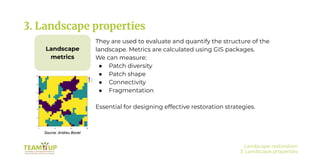 Landscape Strategy.pdf BLOCK_2_ 2.2 Landscape restoration_presentation | PDF