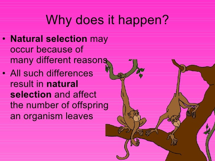 How Does Environment Affect Natural Selection How Does Environment Affect Natural Selection