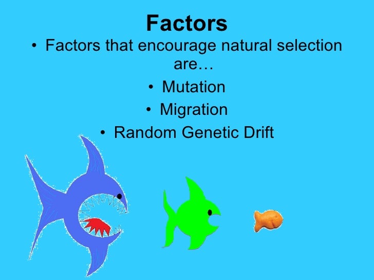 What Factors Affect Natural Selection What Factors Affect Natural Selection