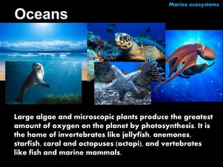 freshwater ecosystems 
 