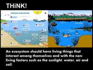 Marine ecosystems 
 