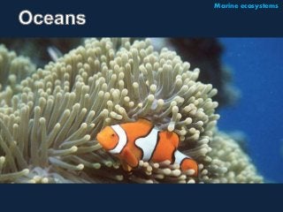 Marine ecosystems 
 